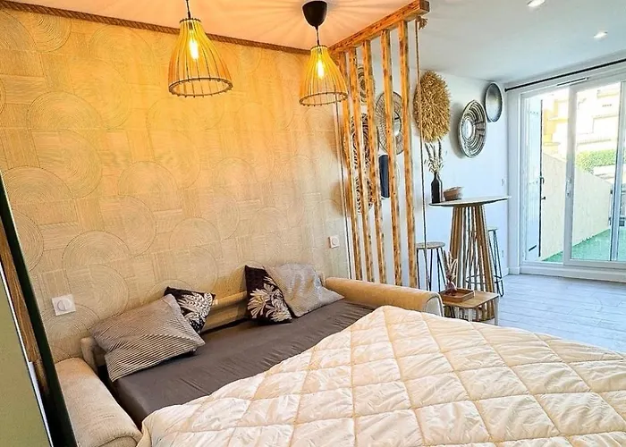 Savane Terrasse Clim 200m Parking Prive Appartement Agde